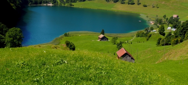 chillig 20150823 1836243036