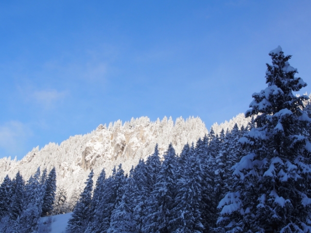 sonne und pulverschneespass 20150120 1756341899