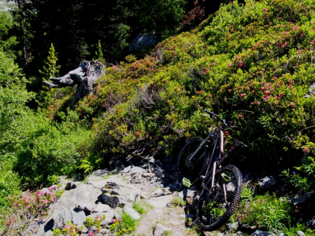 chill bike 20150630 1277391376