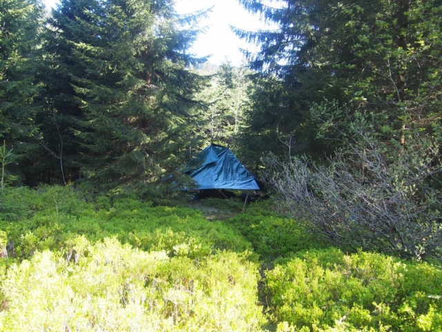 krasse bedingungen 20160603 1152696938