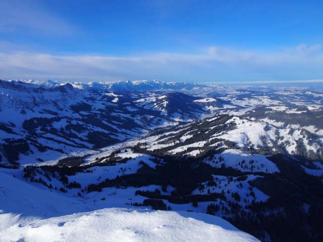 powder 20160215 2008705968