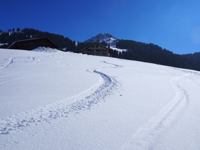 powpow 20160312 1332475790