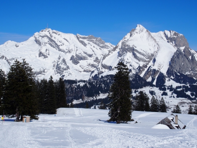 toggi 20160229 1098568474