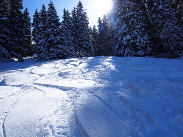 toggi 20160229 1707203454