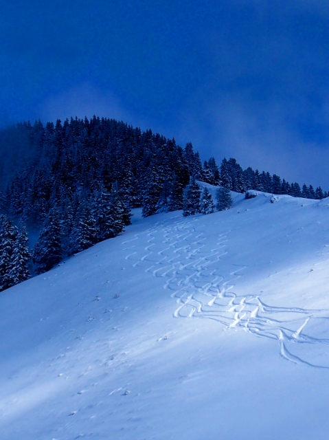 toggi 20160229 2018431825