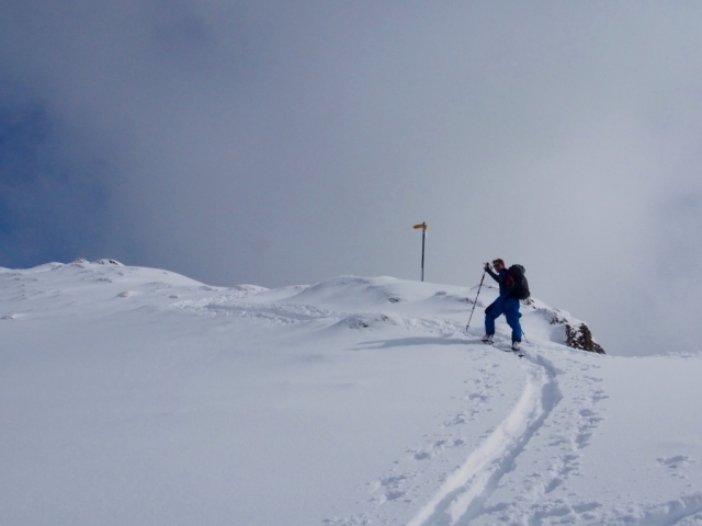 toggi 20160229 2084375734